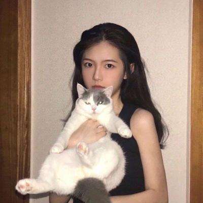 舟游测试服下载